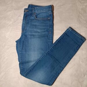 Gap 1969 High Rise Skinny Women's Jeans 29r